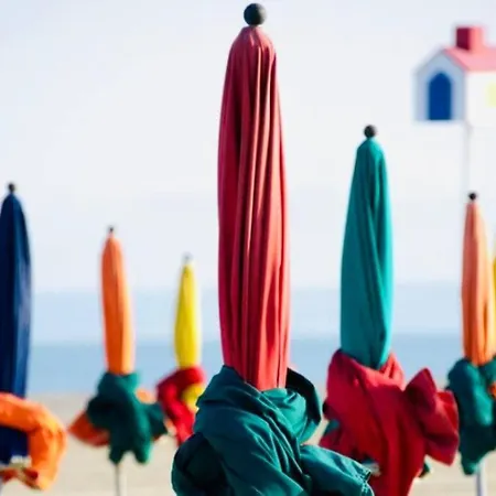 Le Camaieu Yourhosthelper