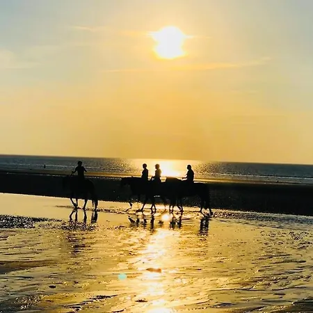 Le Camaieu Yourhosthelper Apartment Deauville