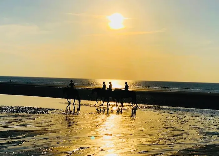 Le Camaieu Yourhosthelper Appartement Deauville